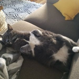 Meet your Posher, Ty